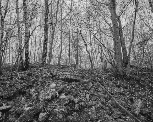 Willesley Basin 02